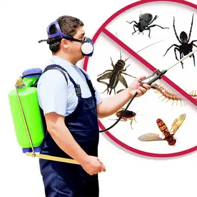 pest control Laingsburg